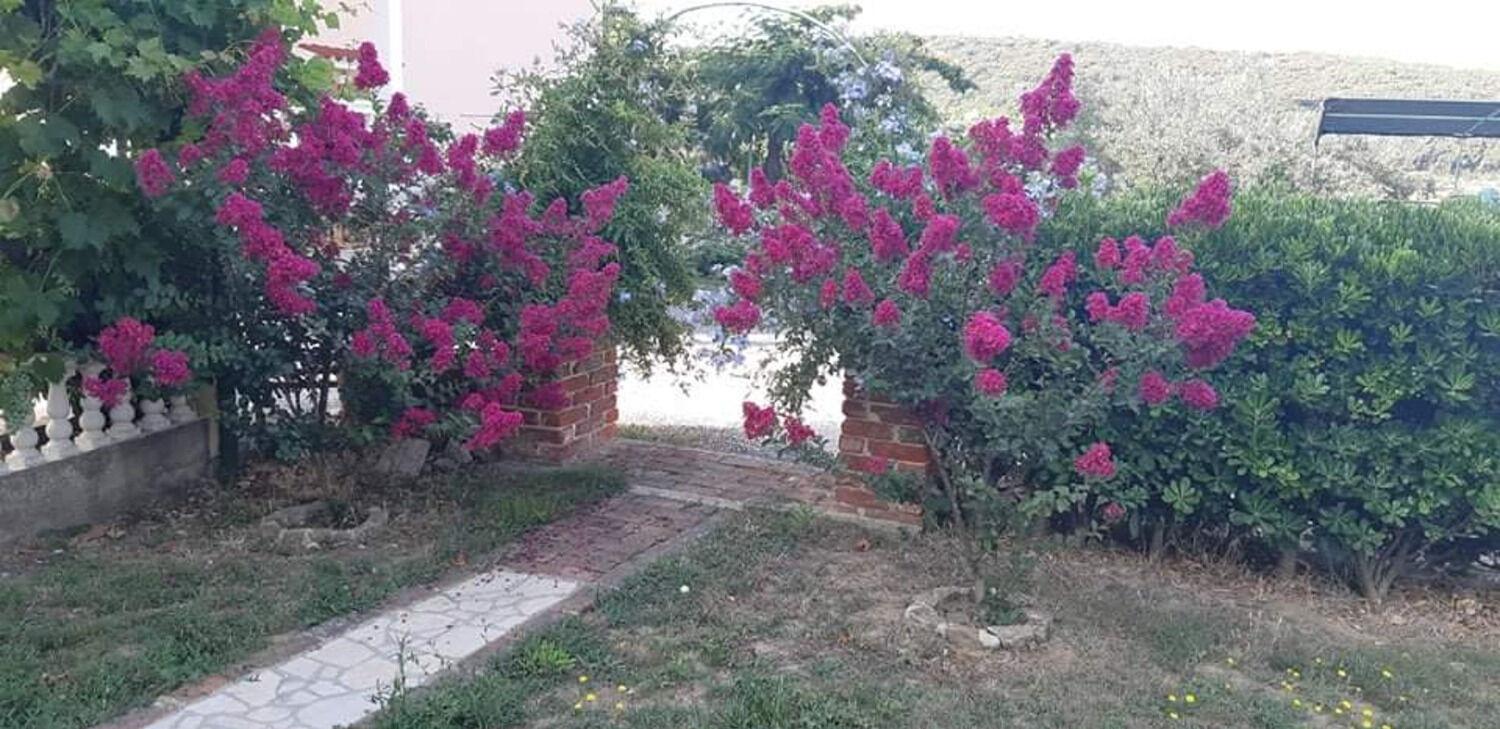 Apartments Robi- Swimming Pool And Beautiful Garden Kampor Dış mekan fotoğraf